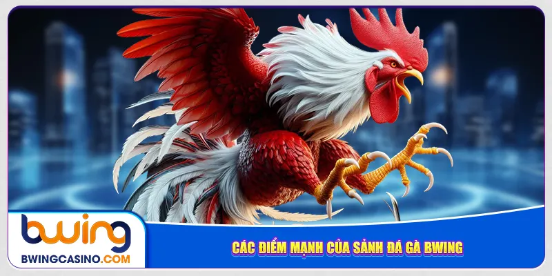 Các điểm mạnh của sảnh đá gà Bwing