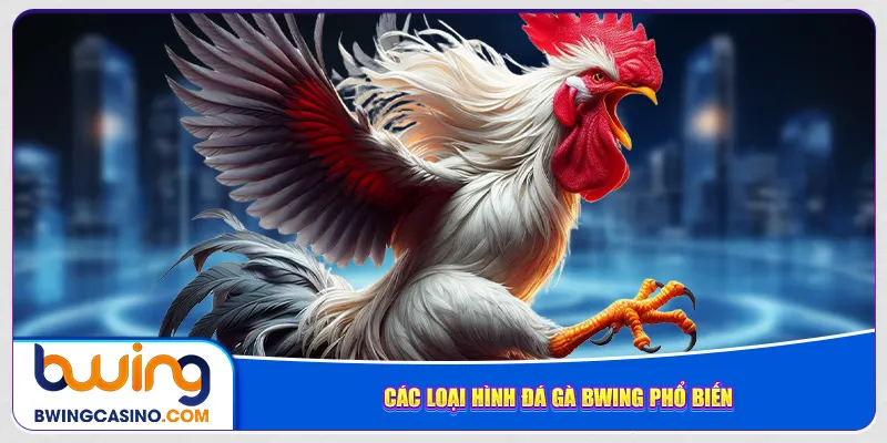 Các loại hình đá gà Bwing phổ biến