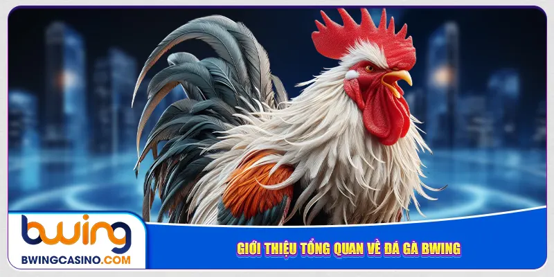 Giới thiệu tổng quan về đá gà Bwing